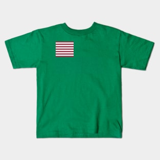 Dansey Flag Kids T-Shirt